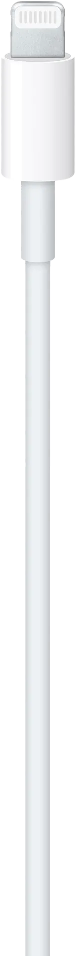 Кабель Apple USB-C to Lightning (1.2m)