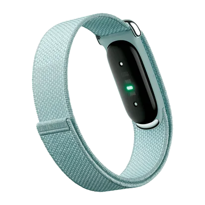 Фитнес-браслет Google Fitbit Air (Fog)