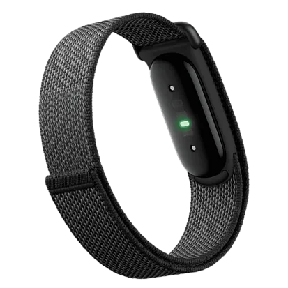 Фитнес-браслет Google Fitbit Air (Obsidian)