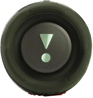 Портативная колонка JBL Charge 5 (Squad)