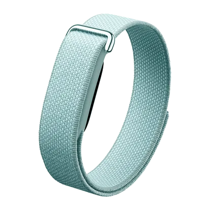 Фитнес-браслет Google Fitbit Air (Fog)