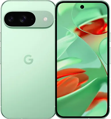 Смартфон Google Pixel 9 12/128Gb (Wintergreen)