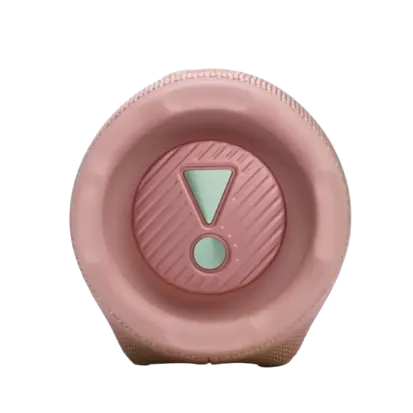 Портативная колонка JBL Charge 6 (Pink)