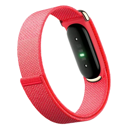 Фитнес-браслет Google Fitbit Air (Berry)